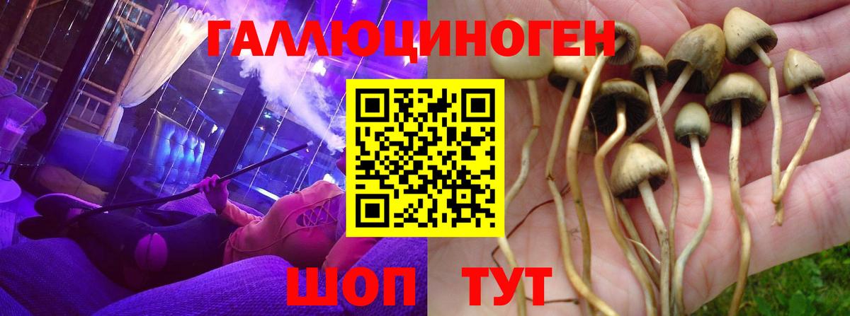 Галлюциногенные грибы мицелий Ярославль