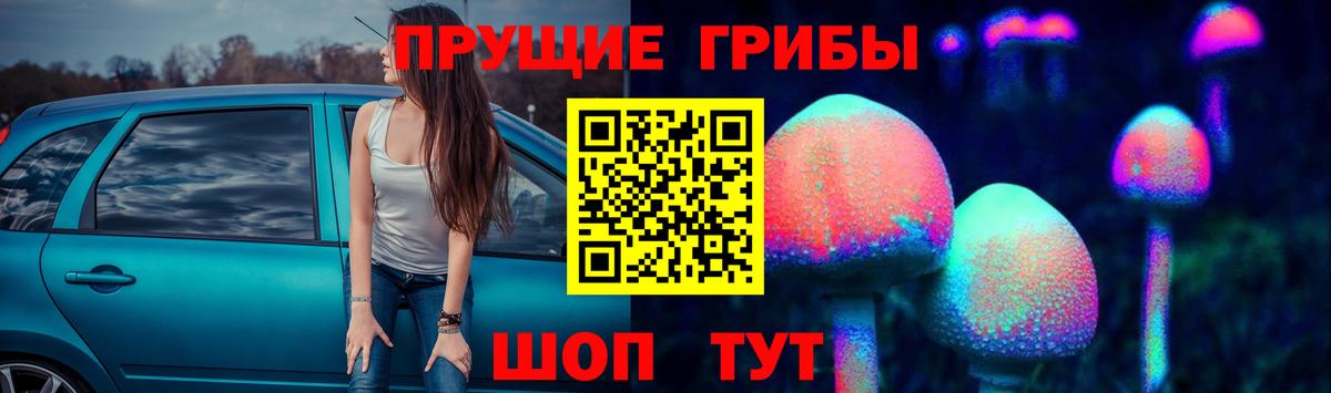 Галлюциногенные грибы GOLDEN TEACHER  Вход с VPN  Псилоцибиновые грибы мицелий  Ярославль 